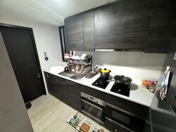 Sims Urban Oasis (D14), Condominium #502165841